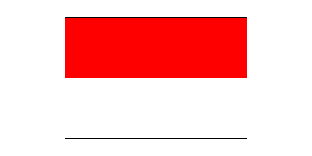 flag11